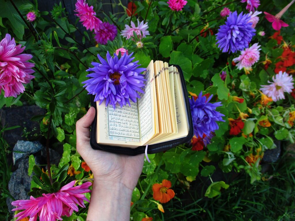 quran research dh special , understand quran